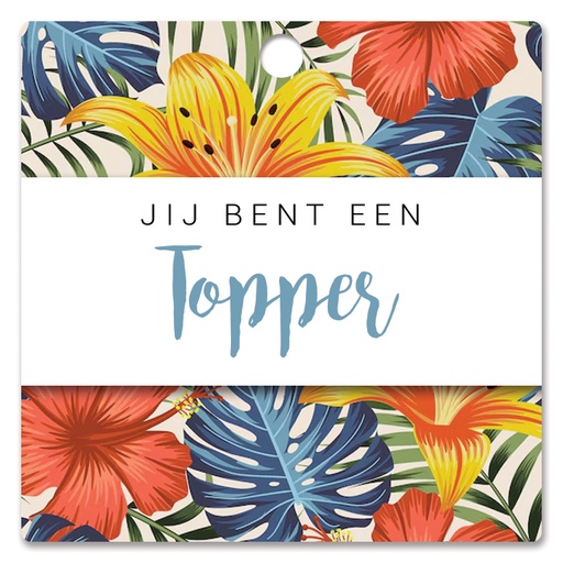 [HBK-217] Jij bent een topper
