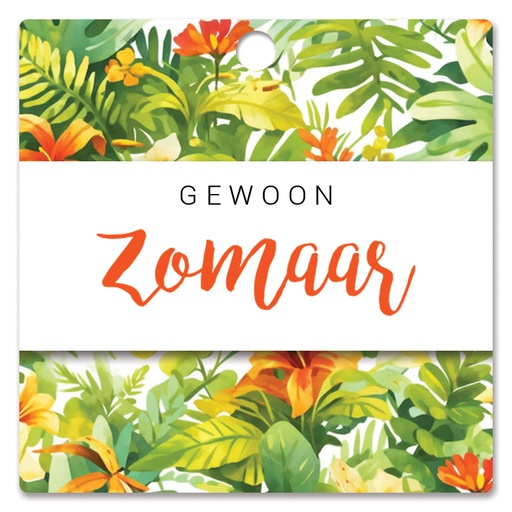 [HBK-223] Gewoon zomaar